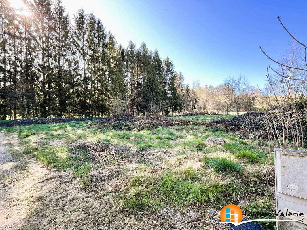Terrain 2060 m² à Vimenil  - photo 3