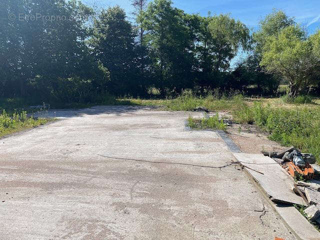 Terrain à BOURG-LE-COMTE