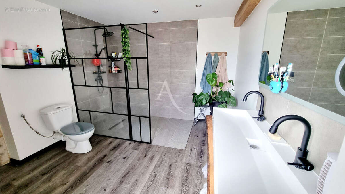 Maison à SAINT-SAVINIEN