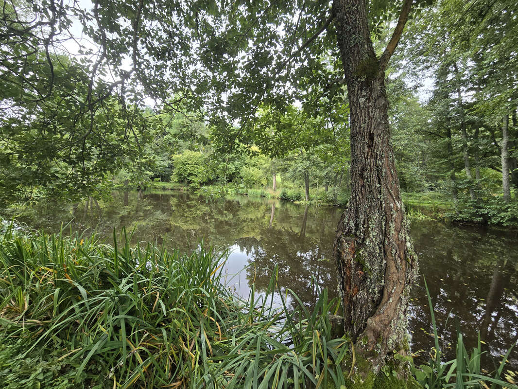Maison à SAINT-GERMAIN-L&#039;HERM
