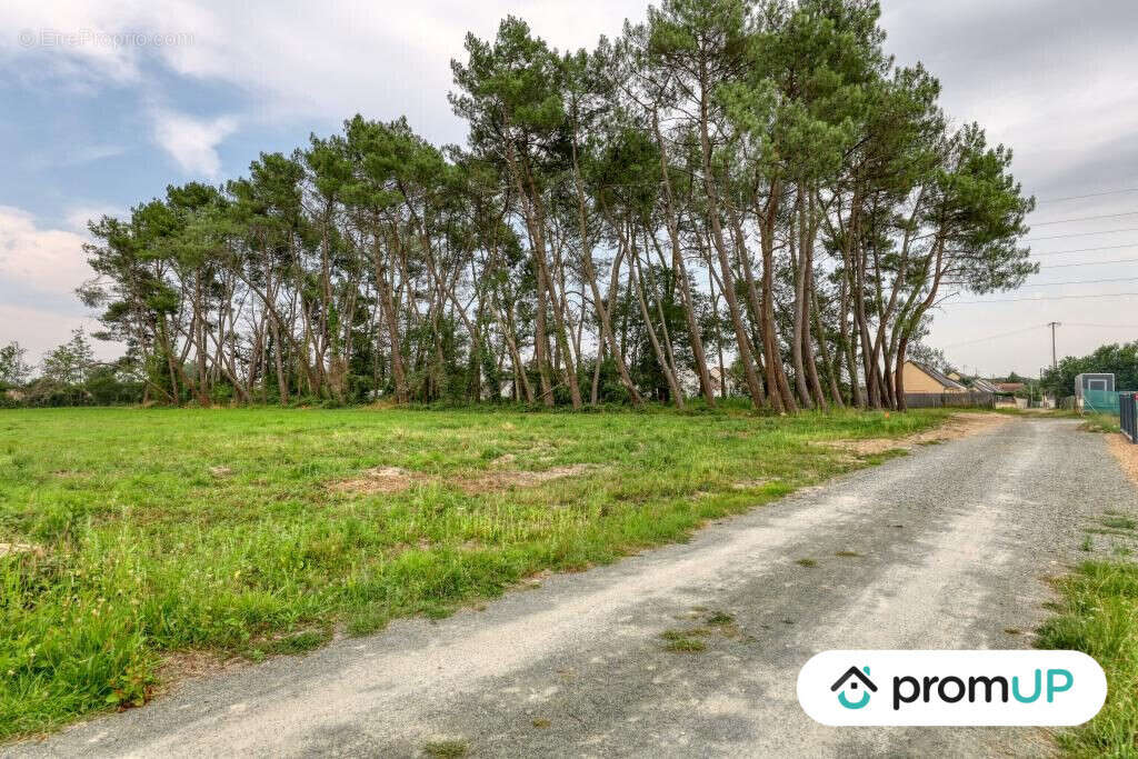 Terrain à SAINT-MARS-LA-BRIERE