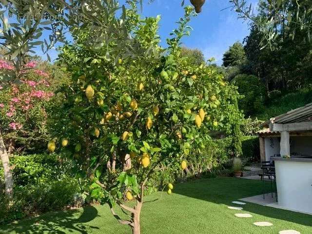 Maison à VILLENEUVE-LOUBET