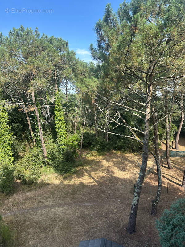 Appartement à LE VERDON-SUR-MER