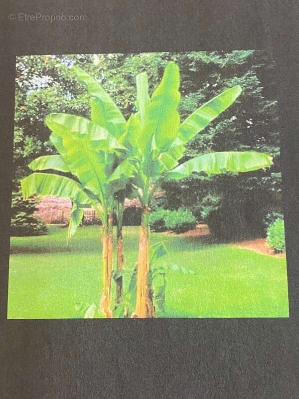 Maison à SAINTE-CHRISTIE-D&#039;ARMAGNAC