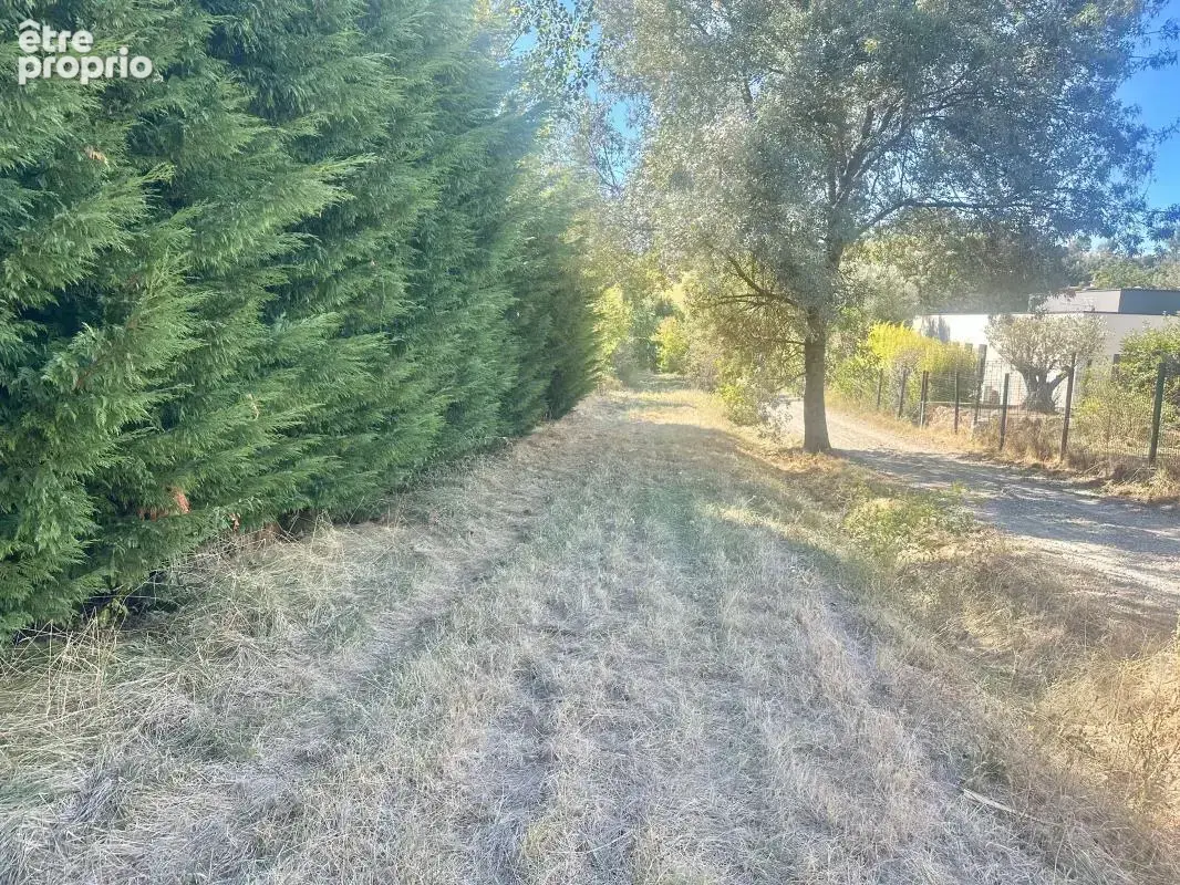 Terrain constructible de 4 278 m² – environnement calme - photo 5
