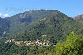 Terrain à LORETO-DI-TALLANO
