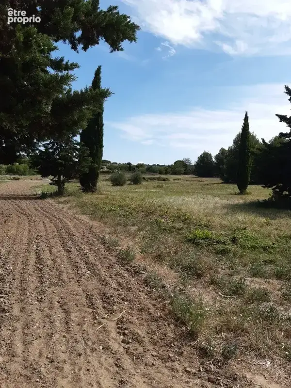 Terrain 301 m² à vendre à Saint-Pargoire (34230) - photo 2