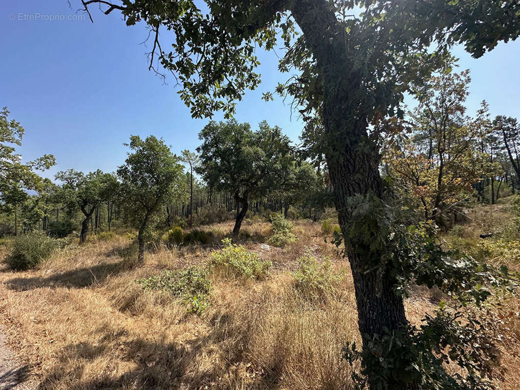 Terrain à TOURRETTES