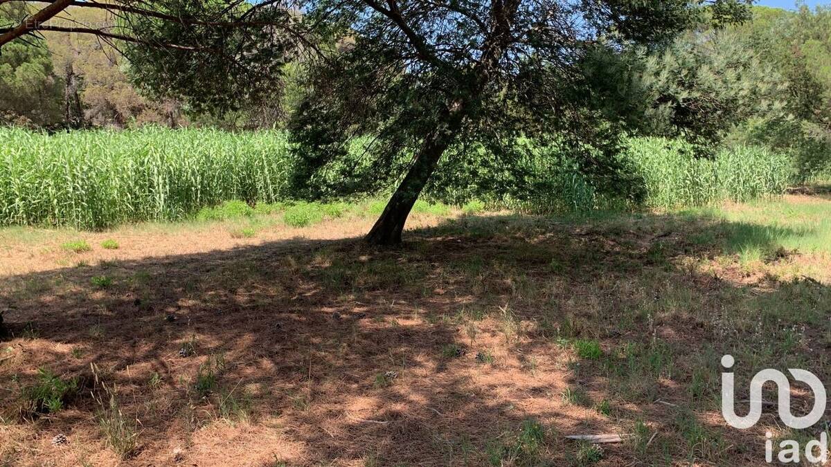 Photo 1 - Terrain à FREJUS