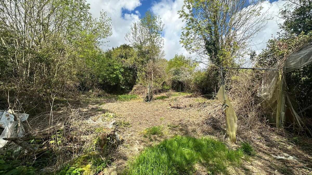 Photo 4 - Maison à CHERAC