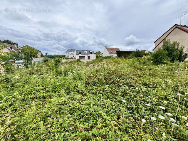 Terrain à VENDRE - photo 3