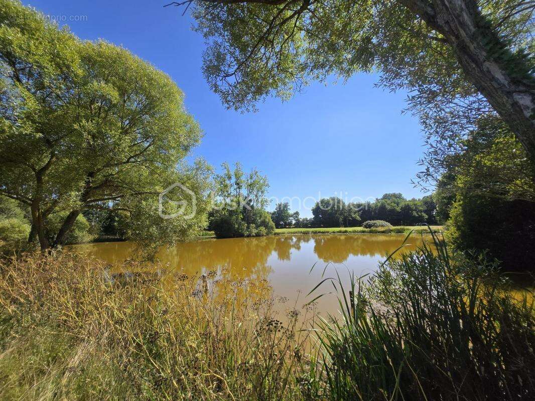 Axe Laval Mayenne Evron terrain 4,5 ha avec étangs - photo 7