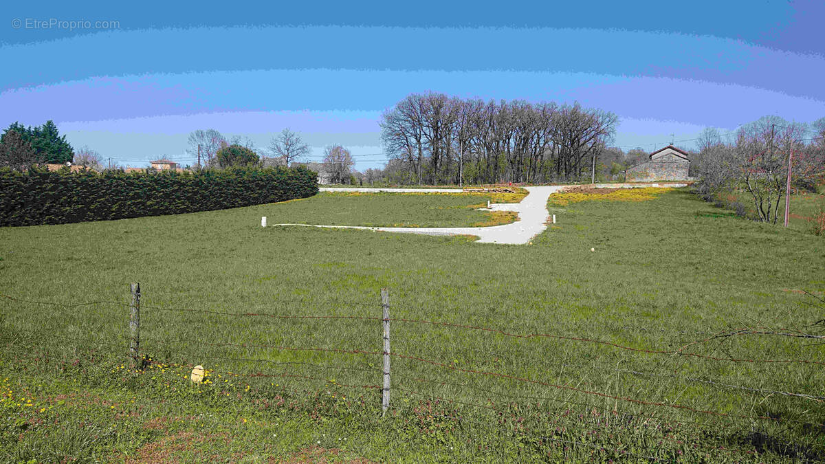 Terrain à SAINTE-CROIX