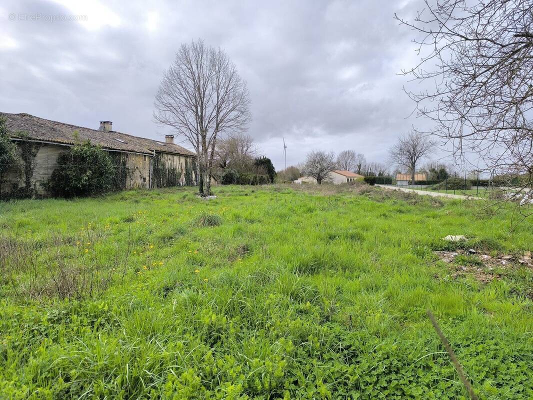 Terrain à CAUNAY