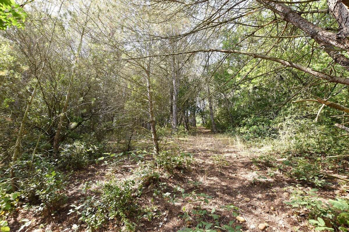 Terrain à BELLEGARDE