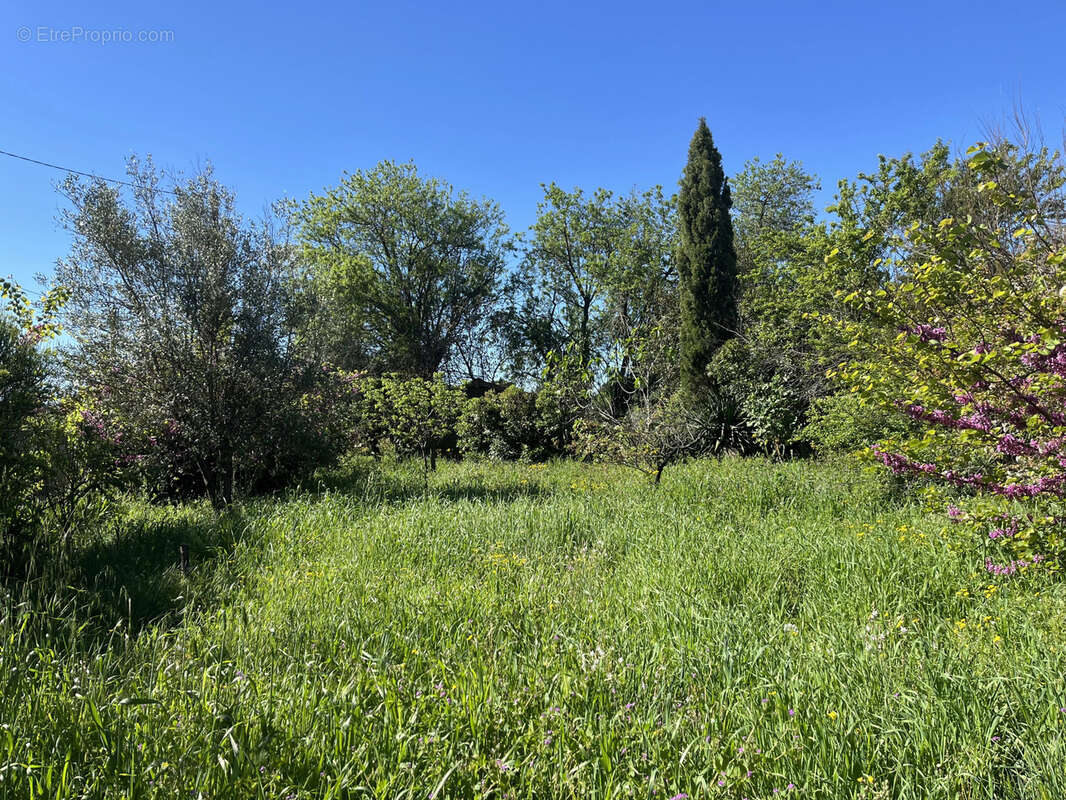 Terrain à bâtir arboré de 257 m2 - Trausse - photo 2