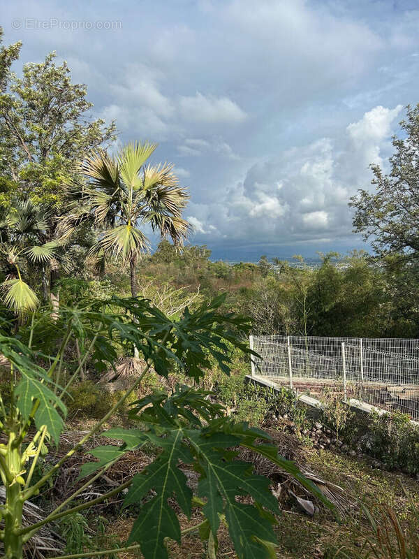 Terrain à L'ETANG-SALE