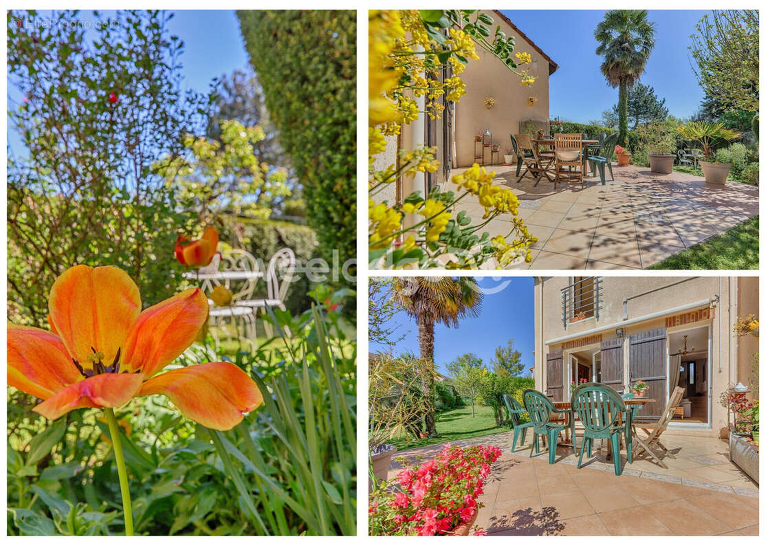 Maison à CHANTELOUP-LES-VIGNES