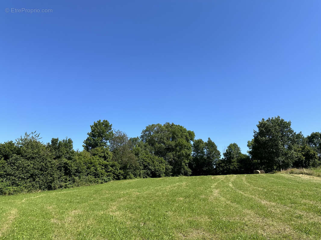 Terrain constructible de 6363 m2 sur la commune d'Uriménil - photo 4