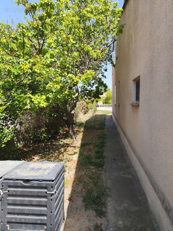 Maison à MOUSSAN