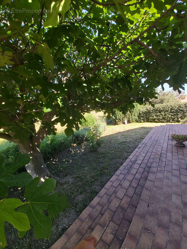 Villa de plain-pied 5 pièces avec vue dégagée à vendre à Calvisson en Vaunage - photo 10