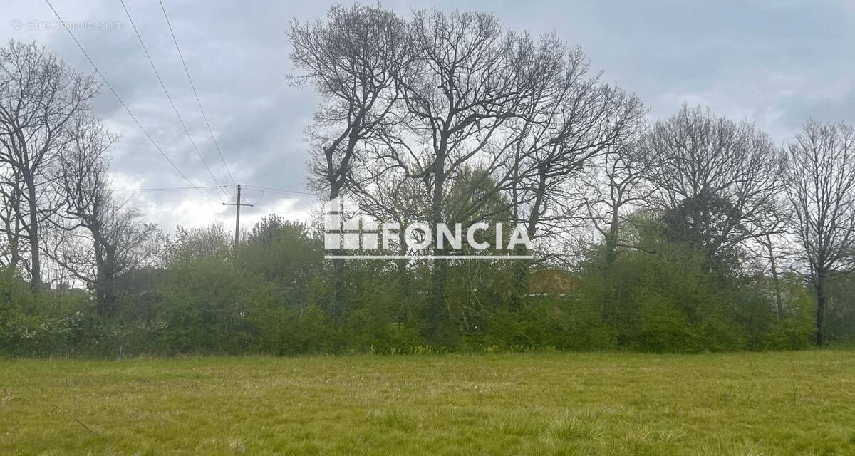 Terrain à BUZET-SUR-TARN