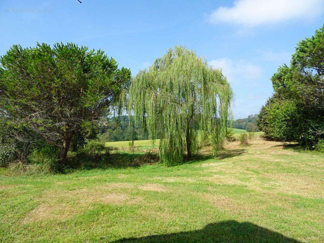 Landes 40250, Saint-Aubin maison 163 m2 - photo 10