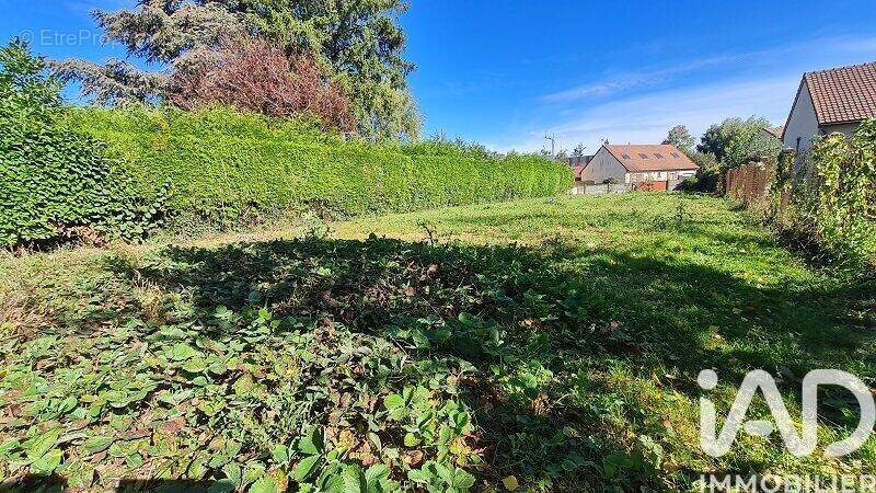 Photo 1 - Terrain à CONLIE