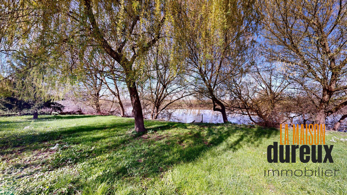 Maison 339 m² à Apremont  - photo 5