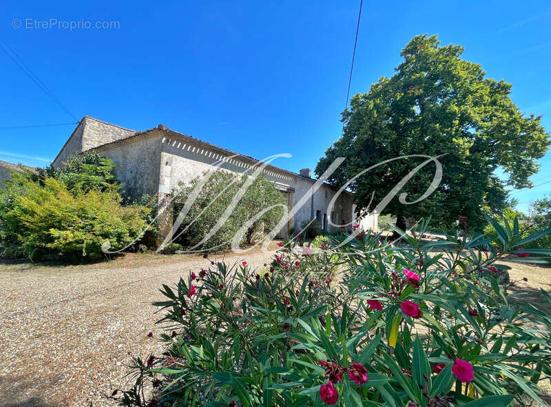 Maison à vendre 10 pièces bonneville et saint avit de f (24) - photo 4