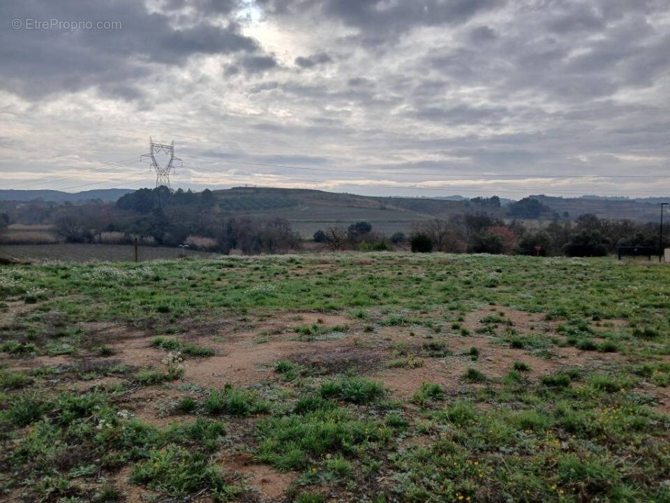 Terrain à LAURET