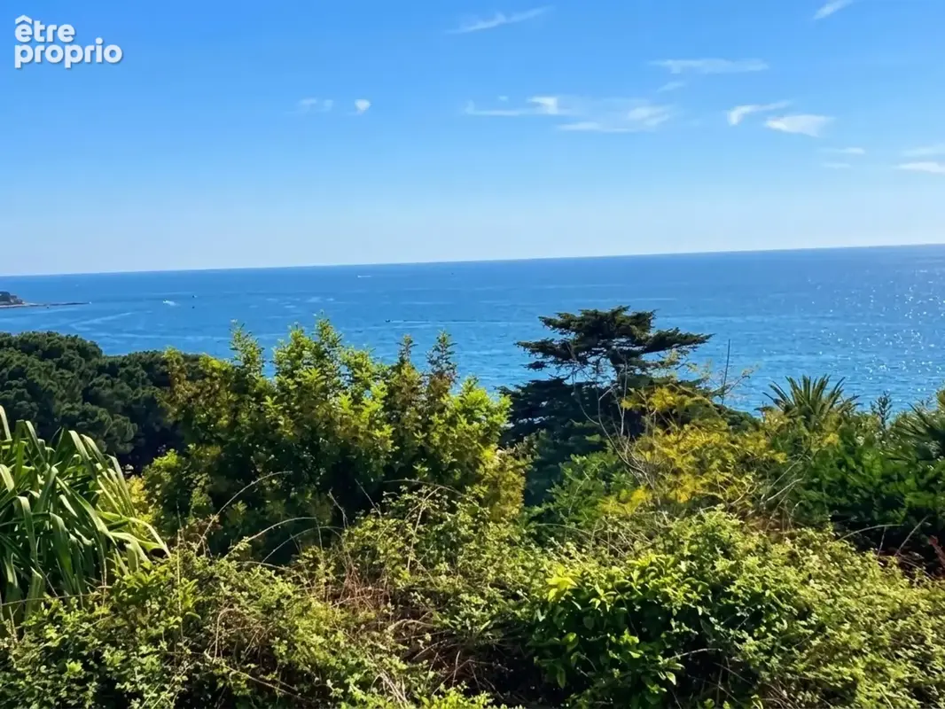 Terrain à CANNES