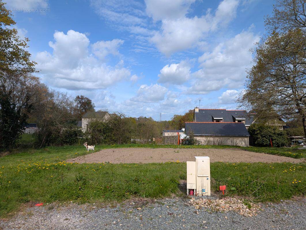 Terrain à TREILLIERES
