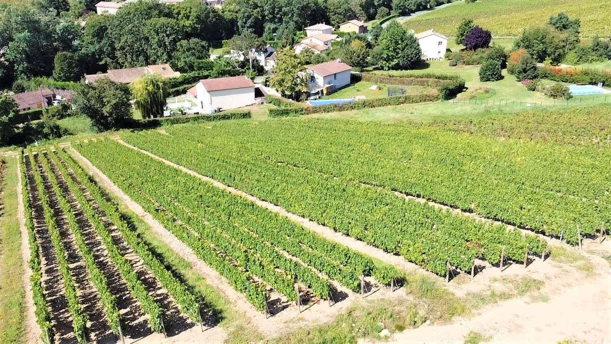 Terrain à JULIENAS