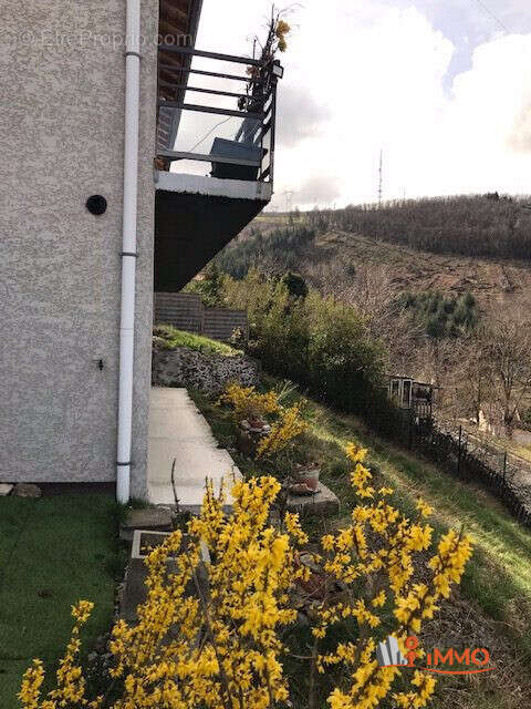 Maison 90 m² à Saint-Etienne  - photo 6