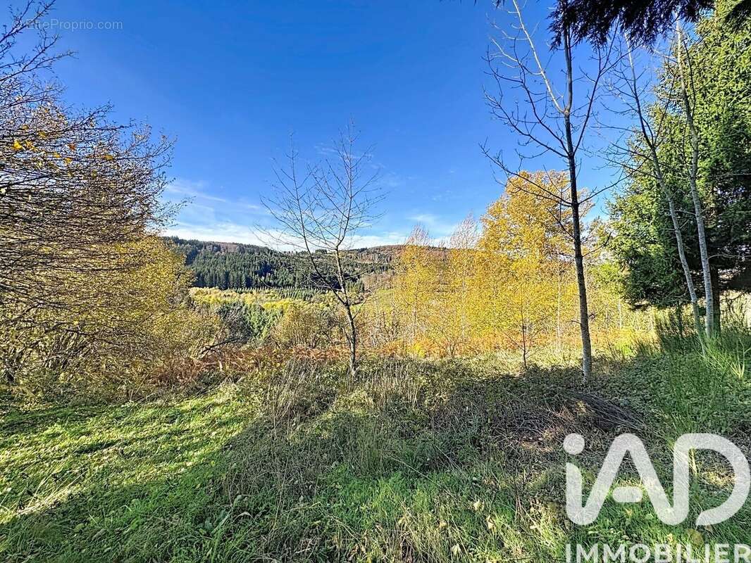 Photo 4 - Maison à SAINT-AMANT-ROCHE-SAVINE