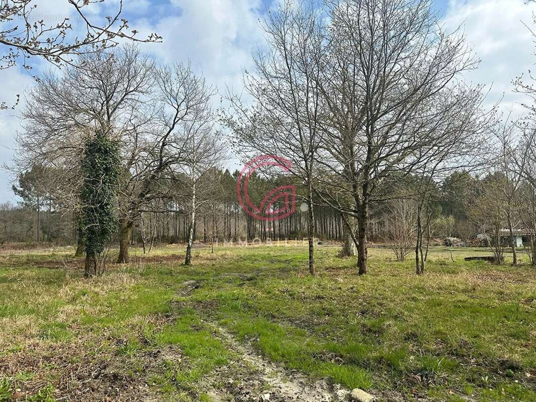 Terrain à PONTENX-LES-FORGES