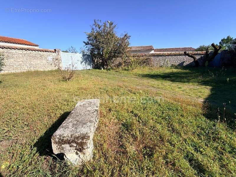 Terrain à SAINTE-MARIE-DE-RE