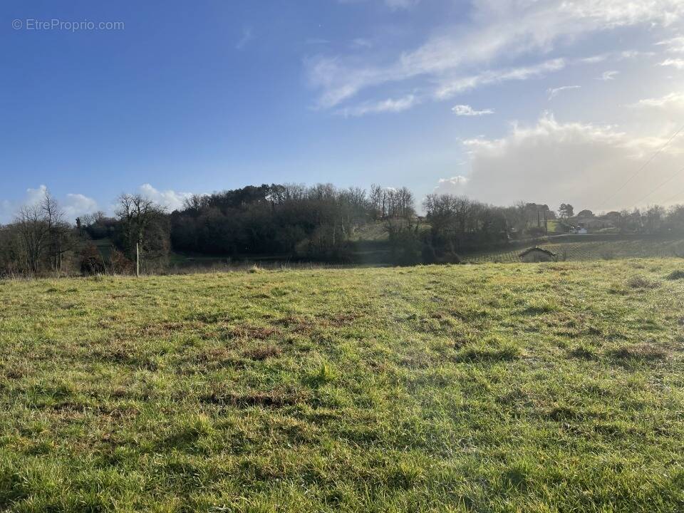 Terrain à SAINT-CIERS-DE-CANESSE