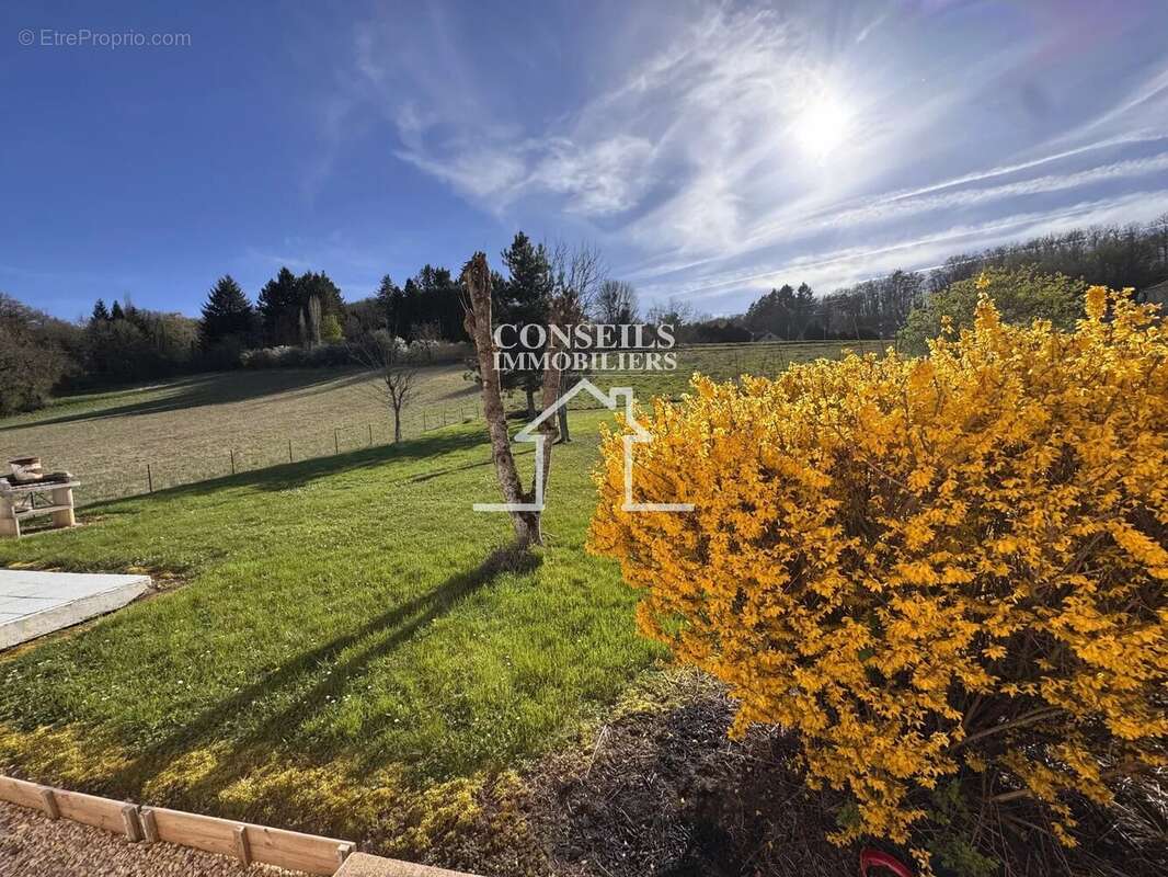 Maison à VILLENEUVE-SUR-YONNE