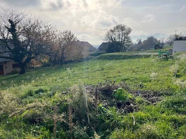 Terrain à LE BOURGET-DU-LAC