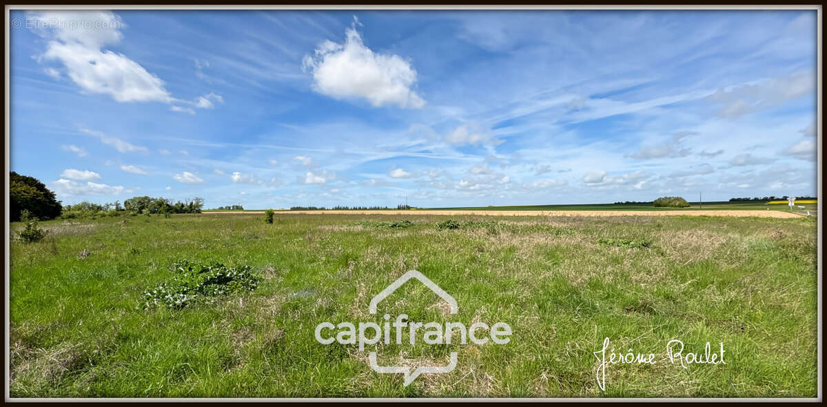 Maison en pierre à vendre 5 pièces 2 chambres Nombreuses Dépendances Terrain 22 400 m² Champigny-En-Rochereau (86) - photo 30