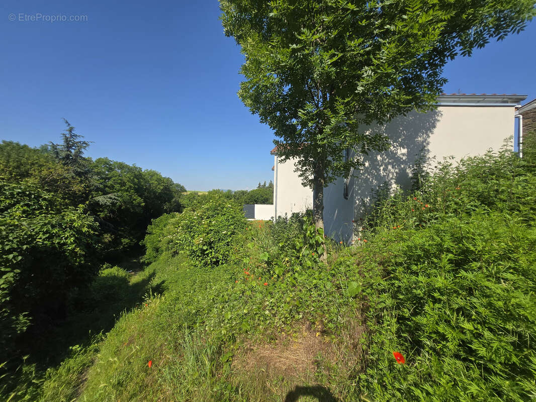 Villa moderne indépendante de 85 m2 hab. sur Terrain de 270 m2 69240 Trèves, - photo 6