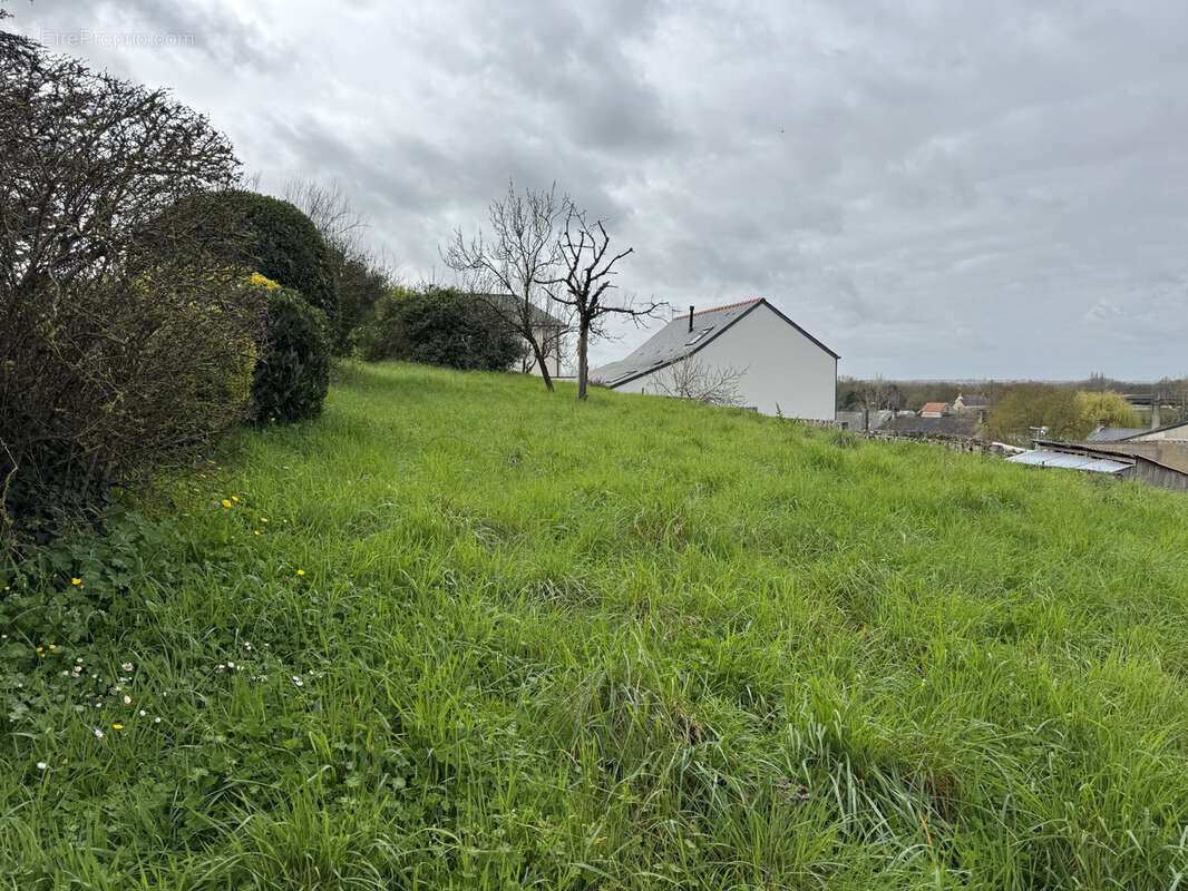 Terrain à LA ROUXIERE