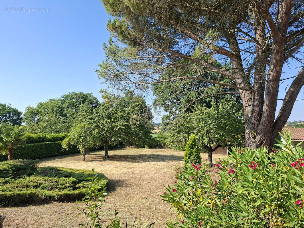Maison à MIRANDE