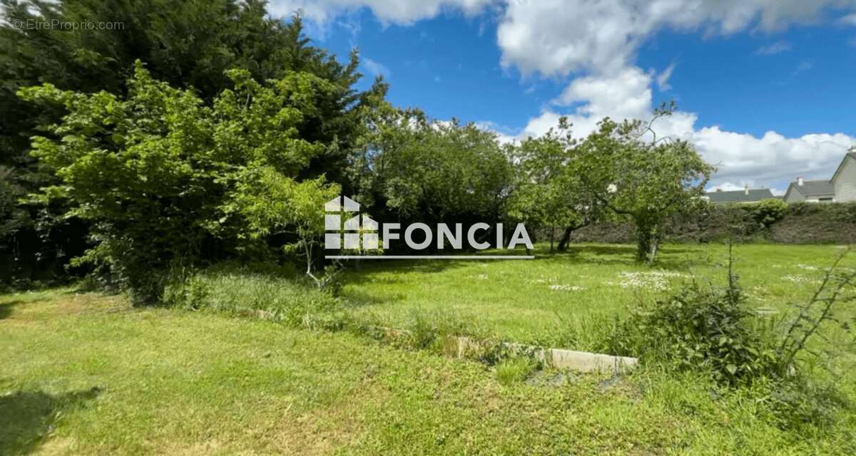 Terrain à CHAMPTOCE-SUR-LOIRE