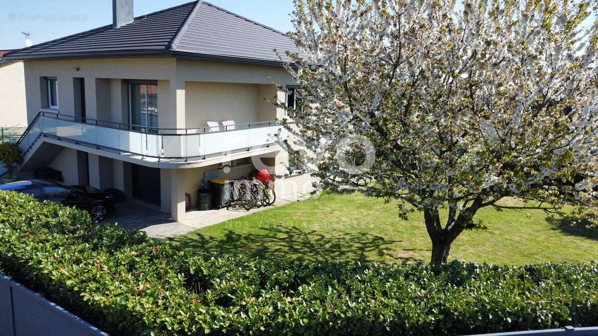 Maison à MIONNAY