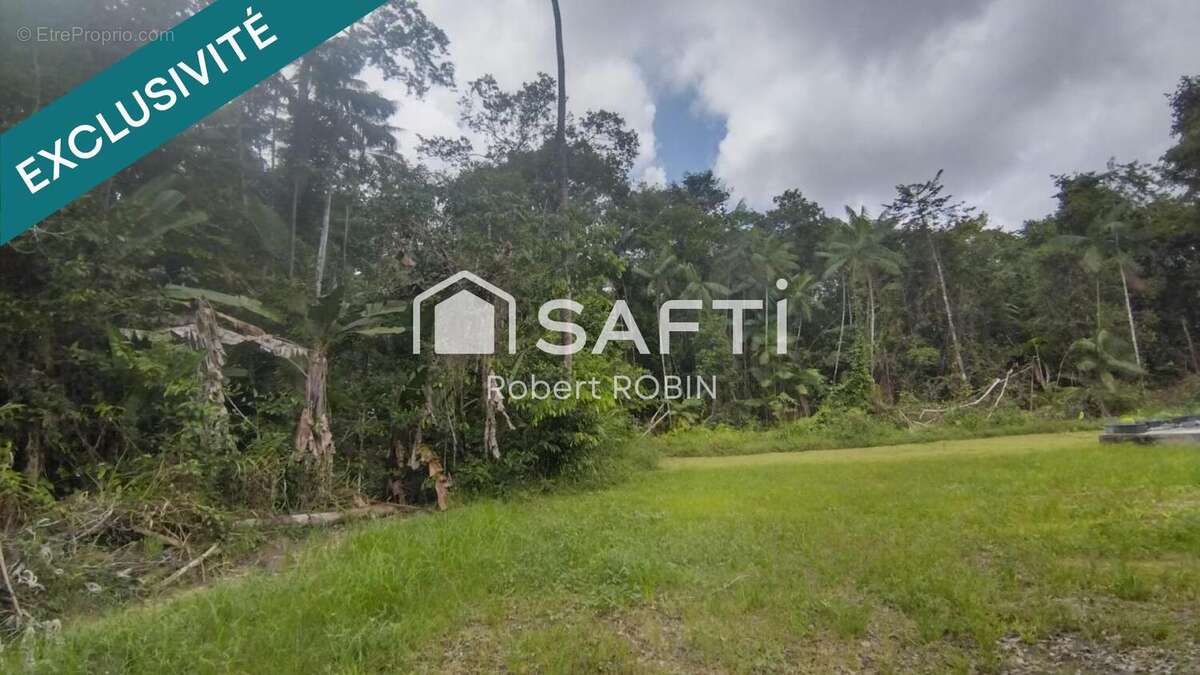 Photo 4 - Terrain à MATOURY