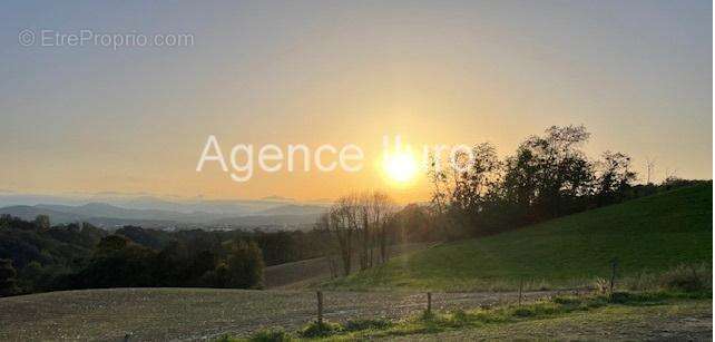 IMG_2896 - Maison à OLORON-SAINTE-MARIE