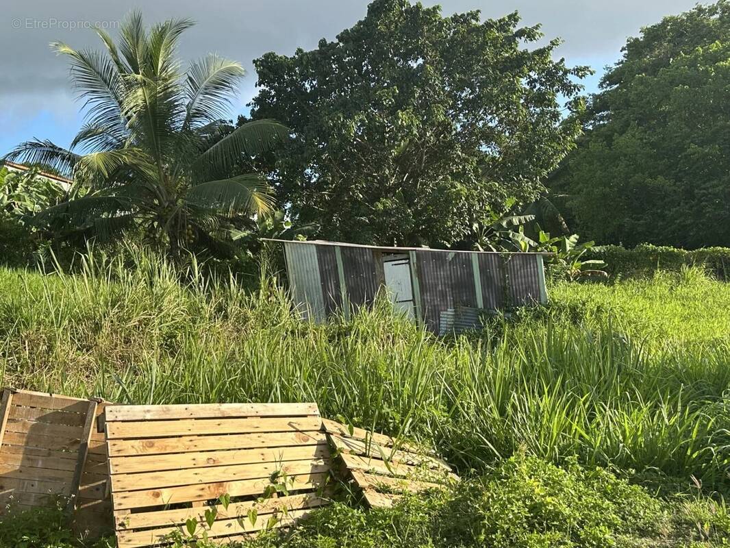 Terrain à BAIE-MAHAULT